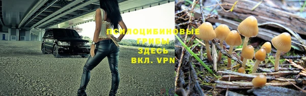 бутират Козельск