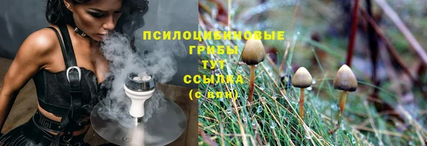 соль ск Костерёво