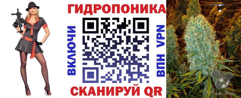 Бошки Шишки SATIVA & INDICA  кракен ссылки  Ковдор 